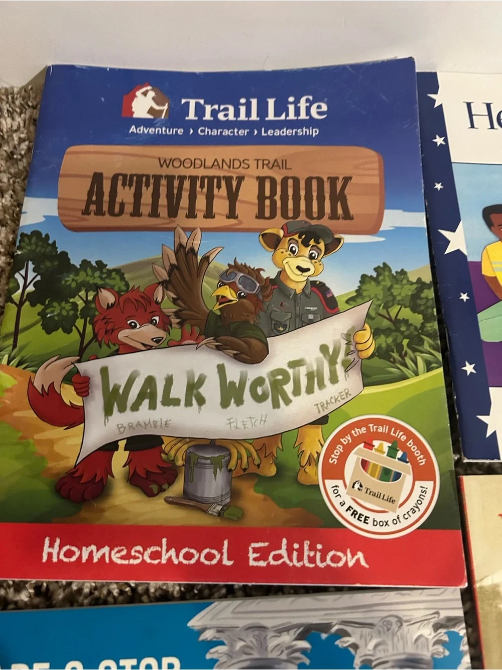 Children's Picture Book Bundle of 9 Books